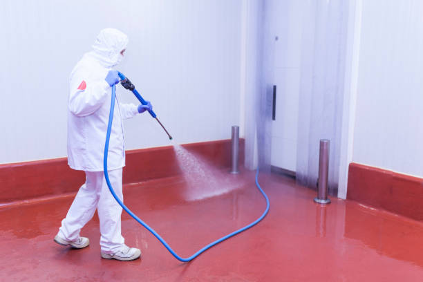 Best Boat and Dock Cleaning  in Marlboro Meadows, MD