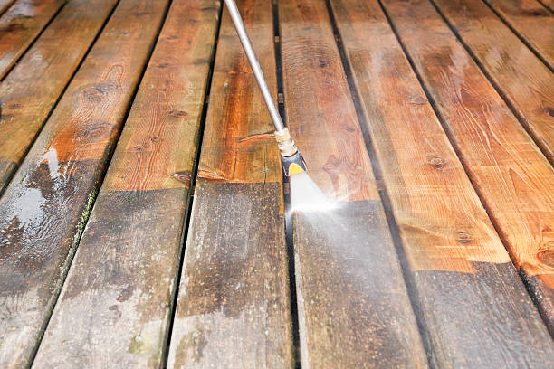 Best Driveway Pressure Washing  in Marlboro Meadows, MD